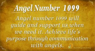 angel number 1099
