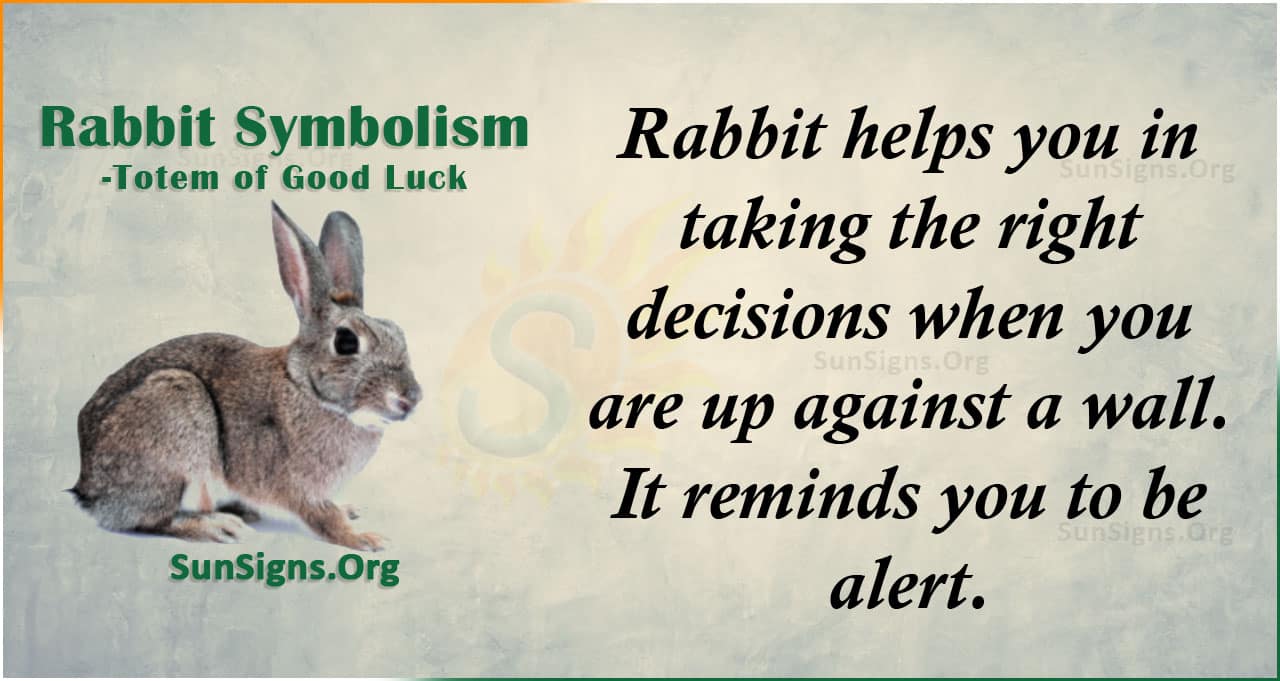 Rabbit Spirit Animal Totem Meaning - Totem Of Good Luck 