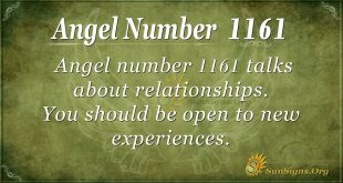 angel number 1161
