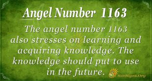 angel number 1163