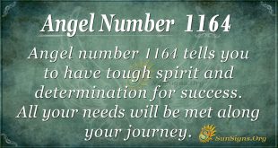 angel number 1164