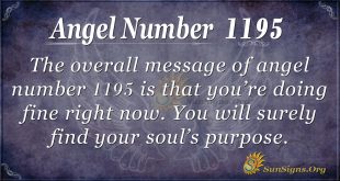 angel number 1195
