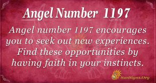 angel number 1197