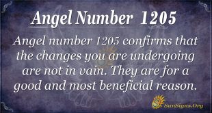 angel number 1205