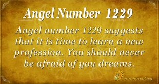 angel number 1229