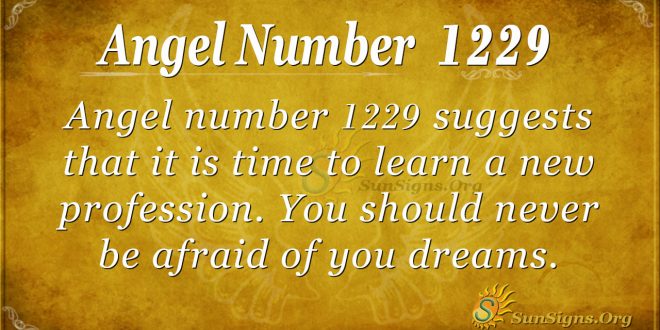 angel number 1229