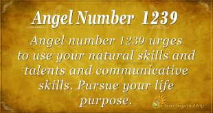 angel number 1239