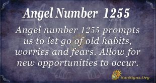 angel number 1255