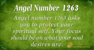 angel number 1263
