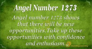 angel number 1273