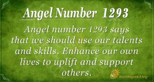 angel number 1293