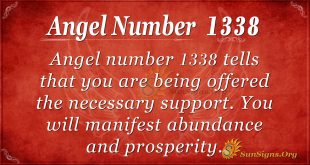 Angel Number 1338