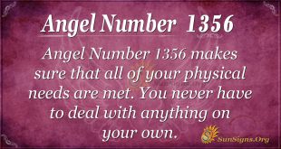 Angel Number1356