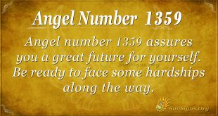 Angel Number1359