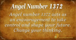 Angel Number 1372