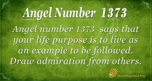Angel Number 1373