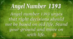 Angel Number 1393