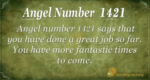 Angel Number 1421