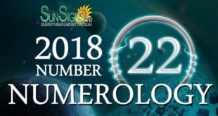 numerology-horoscope-2018-number-22