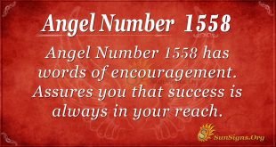 Angel Number 1558
