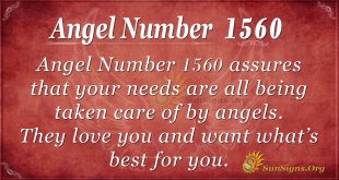 Angel Number1560