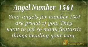 Angel Number1561