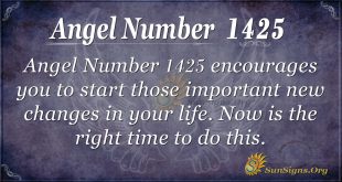 Angel Number 1425