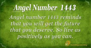 Angel Number 1443