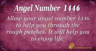 Angel Number 1446