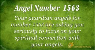 Angel Number 1563