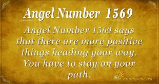 Angel number 1569