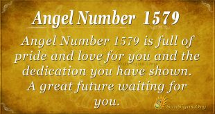 Angel Number 1579