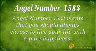 Angel Number 1583