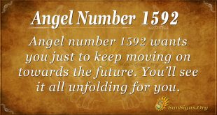 Angel Number 1592