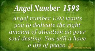 Angel Number 1593
