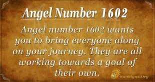 Angel Number1602