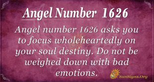 Angel Number 1626