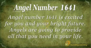 Angel number 1641