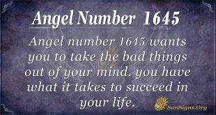 Angel Number 1645
