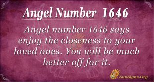 Angel Number 1646