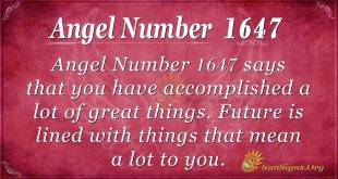 Angel Number 1647