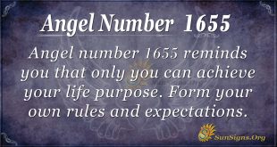 Angel number 1655