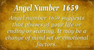 Angel Number 1659