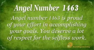 Angel Number 1463