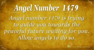 Angel Number 1479