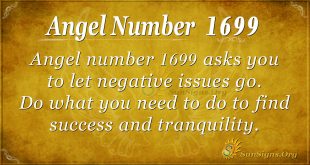 Angel Number 1699