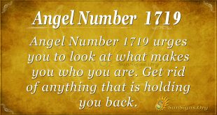 Angel Number1719