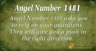 Angel Number1481