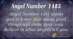 Angel Number 1485