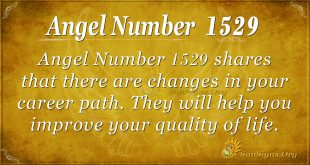 Angel number 1529